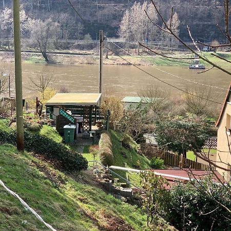 Hotel Haus Bergfriede Bad Schandau Zewnętrze zdjęcie