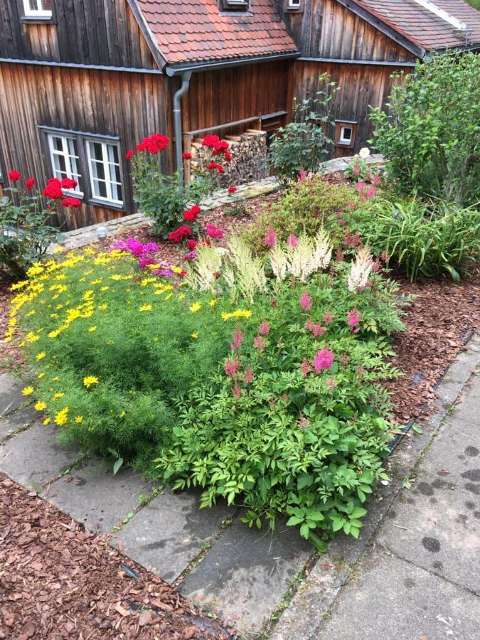 Hotel Haus Bergfriede Bad Schandau Zewnętrze zdjęcie